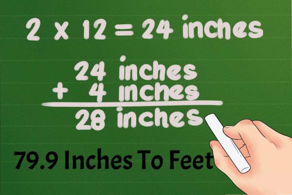 79.9 Inches To Feet