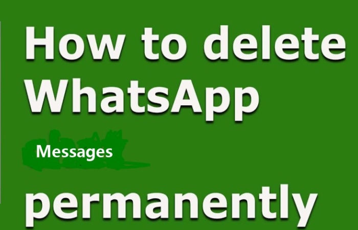 Step-by-step guide for deleting a WhatsApp contact