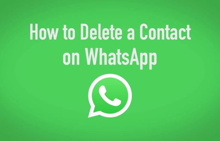 Why would you want to delete a WhatsApp contact?
