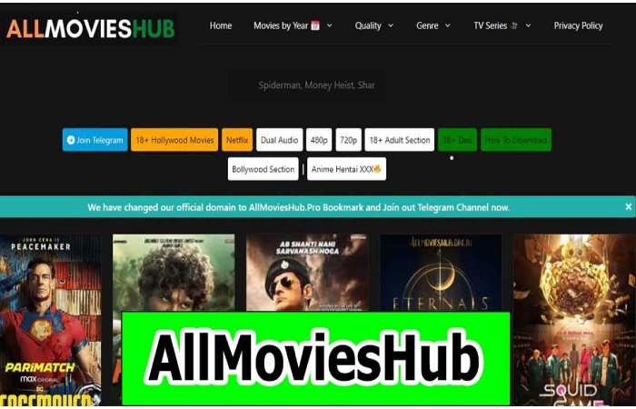 Pros and Cons of all movies hub