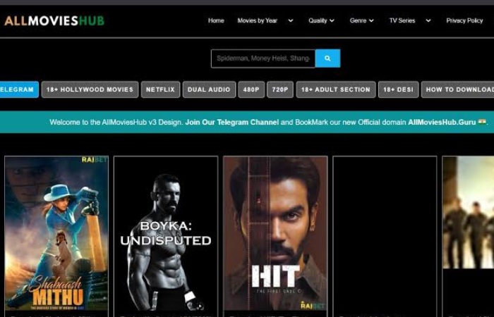Risks of using All Movies Hub