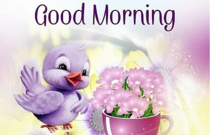 Some Ideas for Good Morning Thursday Messages