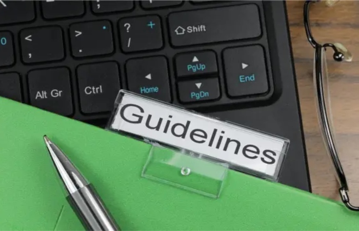 Article Guidelines on Online Wikipedia