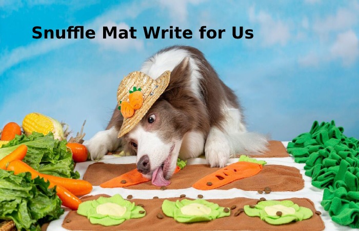Snuffle Mat Write for Us