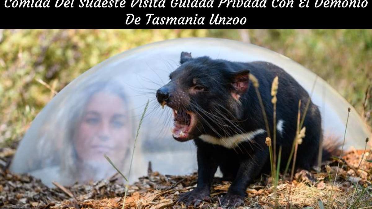 Comida Del Sudeste Visita Guiada Privada Con El Demonio De Tasmania Unzoo