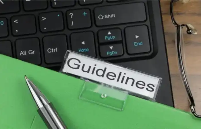 Article Guidelines on Online Wikipedia