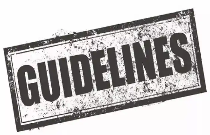 Guidelines for Article