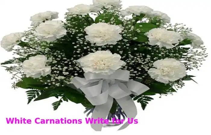 White Carnations Write for Us - Contribute, and Submit Post