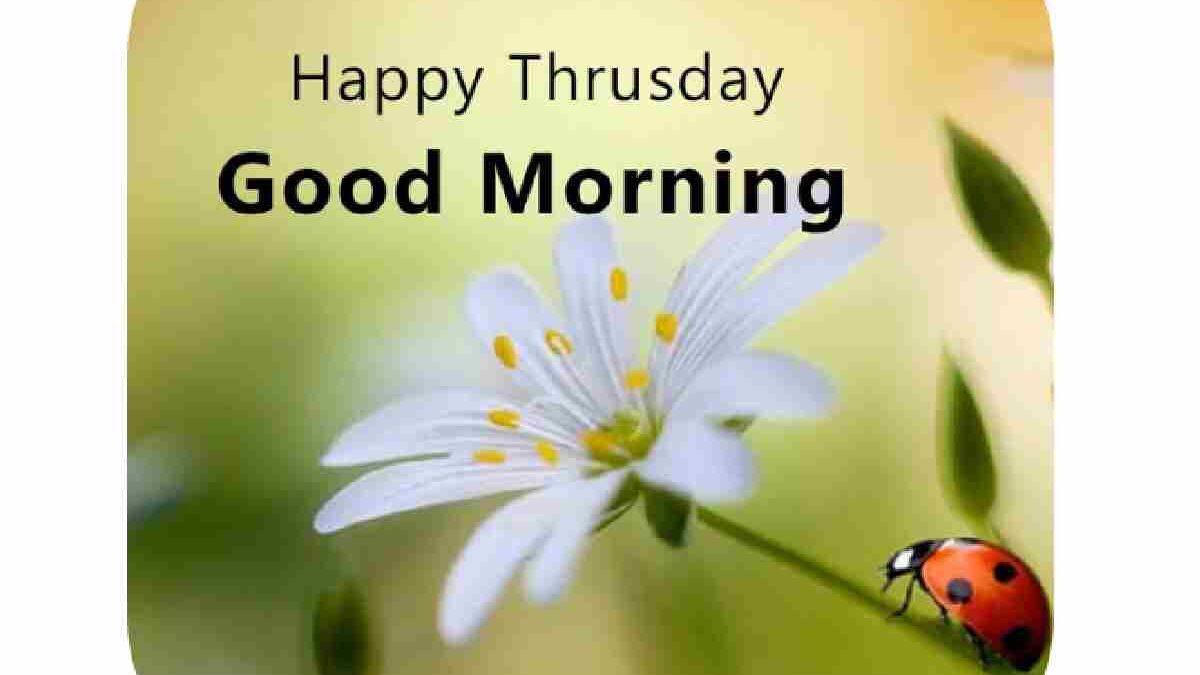 Good Morning Thursday – Ideas and Creative ways to Greet