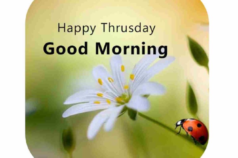 Good Morning Thursday – Information And More