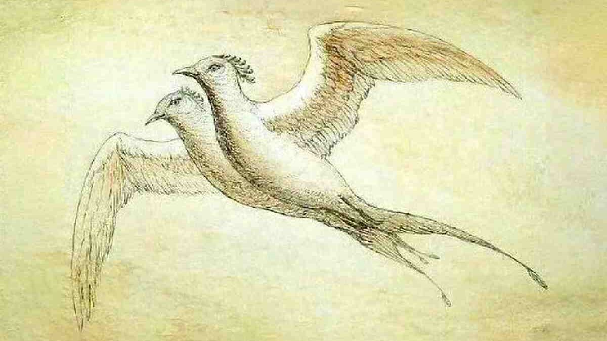 Jian Bird