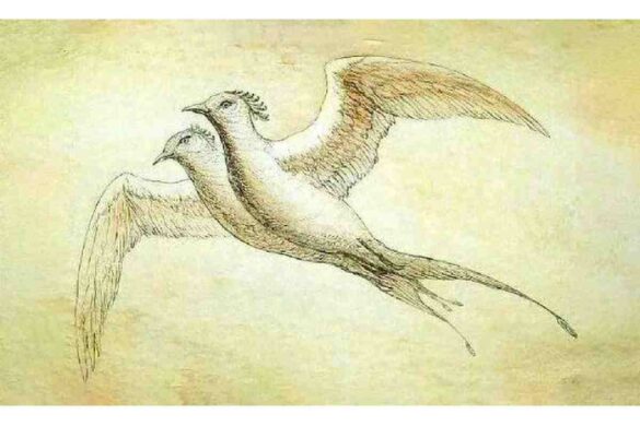 Jian Bird