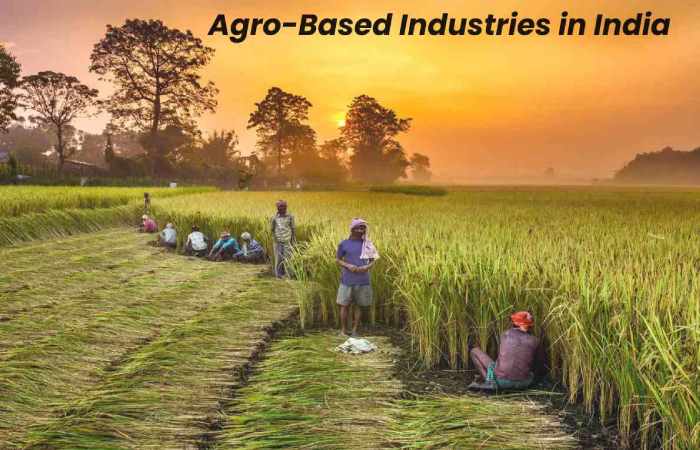 Why are Agro-Based Industries Important